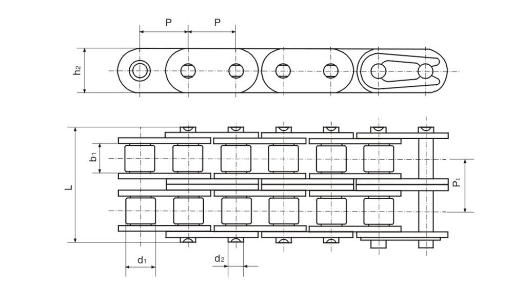 双排滚子链 Duplex roller chain-1.jpg