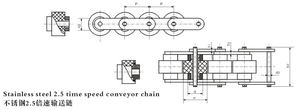 不锈钢倍速输送链 Stainless steel speed—fold conveyor chain-1.jpg