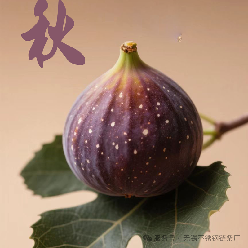 微信图片_2025-08-16_102859_022.png
