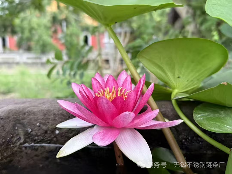 微信图片_2025-08-16_102929_805.png